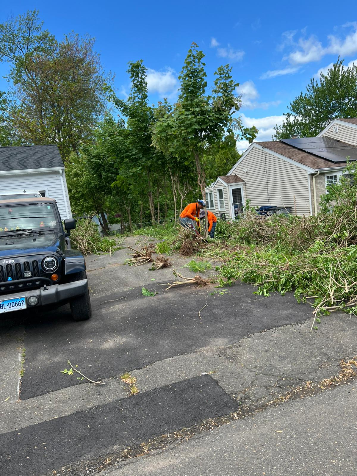 Backyard garden pruning service
