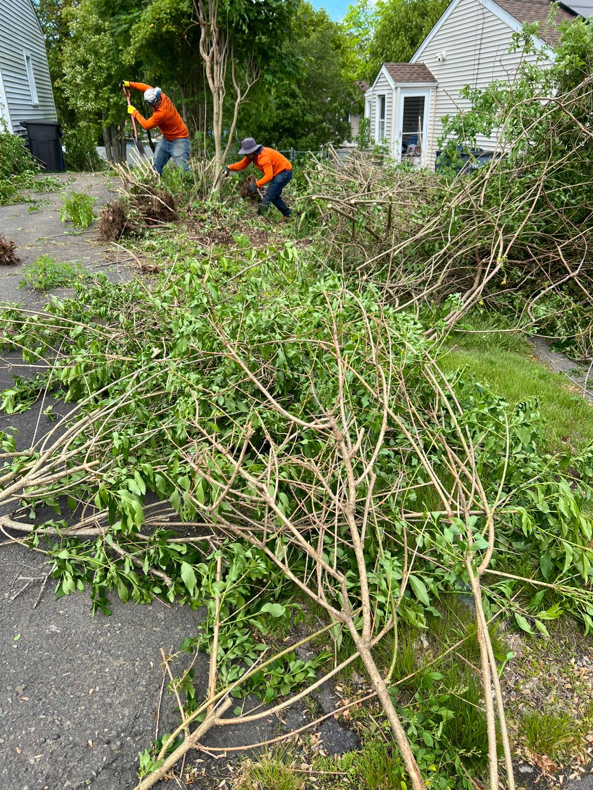 Backyard garden pruning service