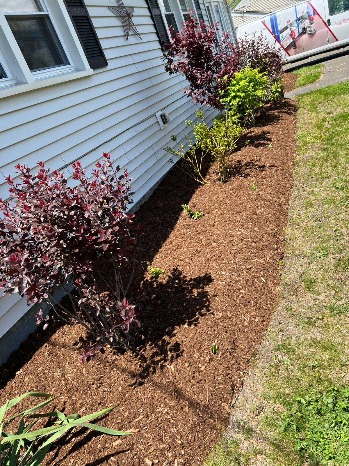 Backyard garden pruning service